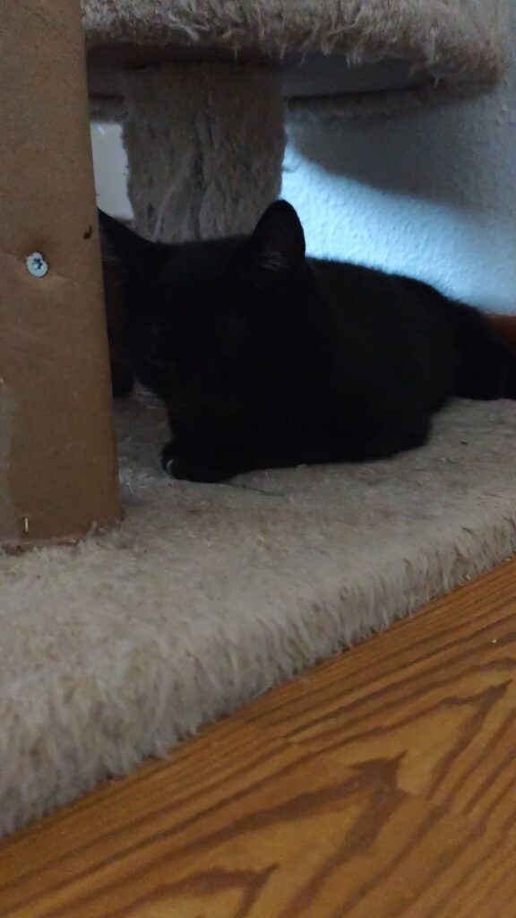 Bobby